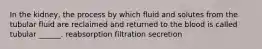 In the kidney, the process by which fluid and solutes from the tubular fluid are reclaimed and returned to the blood is called tubular ______. reabsorption filtration secretion