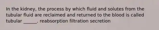 In the kidney, the process by which fluid and solutes from the tubular fluid are reclaimed and returned to <a href='https://www.questionai.com/knowledge/k7oXMfj7lk-the-blood' class='anchor-knowledge'>the blood</a> is called tubular ______. reabsorption filtration secretion