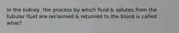 In the kidney, the process by which fluid & solutes from the tubular fluid are reclaimed & returned to the blood is called what?