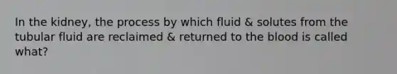 In the kidney, the process by which fluid & solutes from the tubular fluid are reclaimed & returned to the blood is called what?