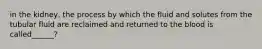in the kidney, the process by which the fluid and solutes from the tubular fluid are reclaimed and returned to the blood is called______?