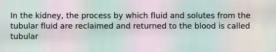 In the kidney, the process by which fluid and solutes from the tubular fluid are reclaimed and returned to <a href='https://www.questionai.com/knowledge/k7oXMfj7lk-the-blood' class='anchor-knowledge'>the blood</a> is called tubular