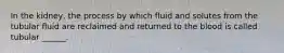 In the kidney, the process by which fluid and solutes from the tubular fluid are reclaimed and returned to the blood is called tubular ______.