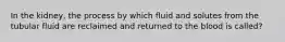 In the kidney, the process by which fluid and solutes from the tubular fluid are reclaimed and returned to the blood is called?