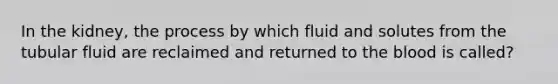 In the kidney, the process by which fluid and solutes from the tubular fluid are reclaimed and returned to the blood is called?