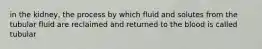 in the kidney, the process by which fluid and solutes from the tubular fluid are reclaimed and returned to the blood is called tubular