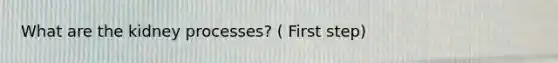 What are the kidney processes? ( First step)