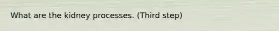 What are the kidney processes. (Third step)