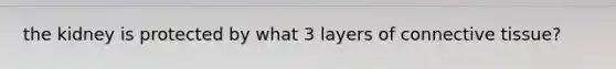 the kidney is protected by what 3 layers of connective tissue?