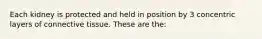 Each kidney is protected and held in position by 3 concentric layers of connective tissue. These are the: