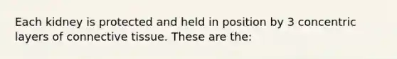 Each kidney is protected and held in position by 3 concentric layers of <a href='https://www.questionai.com/knowledge/kYDr0DHyc8-connective-tissue' class='anchor-knowledge'>connective tissue</a>. These are the: