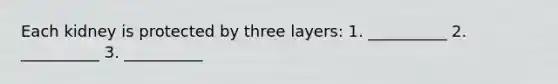 Each kidney is protected by three layers: 1. __________ 2. __________ 3. __________