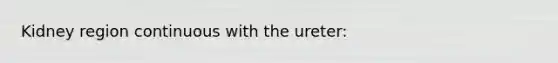 Kidney region continuous with the ureter: