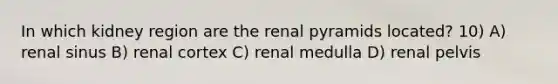 In which kidney region are the renal pyramids located? 10) A) renal sinus B) renal cortex C) renal medulla D) renal pelvis