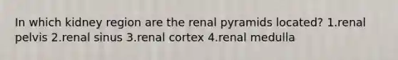 In which kidney region are the renal pyramids located? 1.renal pelvis 2.renal sinus 3.renal cortex 4.renal medulla