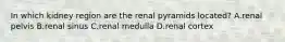 In which kidney region are the renal pyramids located? A.renal pelvis B.renal sinus C.renal medulla D.renal cortex