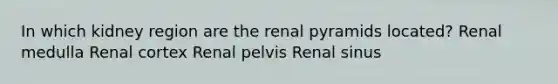 In which kidney region are the renal pyramids located? Renal medulla Renal cortex Renal pelvis Renal sinus