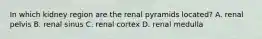 In which kidney region are the renal pyramids located? A. renal pelvis B. renal sinus C. renal cortex D. renal medulla