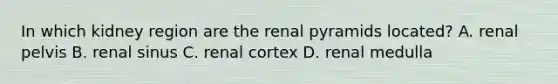 In which kidney region are the renal pyramids located? A. renal pelvis B. renal sinus C. renal cortex D. renal medulla