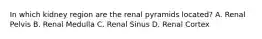 In which kidney region are the renal pyramids located? A. Renal Pelvis B. Renal Medulla C. Renal Sinus D. Renal Cortex