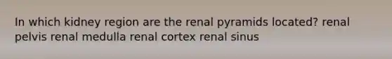 In which kidney region are the renal pyramids located? renal pelvis renal medulla renal cortex renal sinus