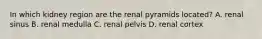 In which kidney region are the renal pyramids located? A. renal sinus B. renal medulla C. renal pelvis D. renal cortex