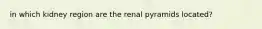 in which kidney region are the renal pyramids located?