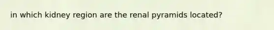 in which kidney region are the renal pyramids located?