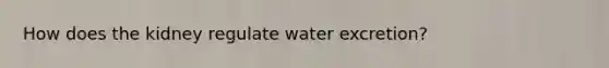 How does the kidney regulate water excretion?