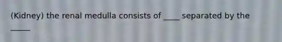 (Kidney) the renal medulla consists of ____ separated by the _____