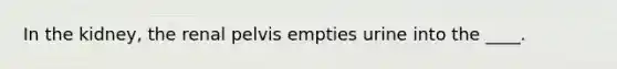 In the kidney, the renal pelvis empties urine into the ____.