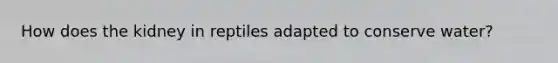 How does the kidney in reptiles adapted to conserve water?