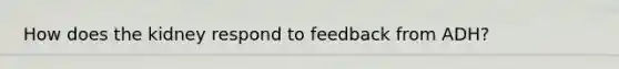 How does the kidney respond to feedback from ADH?