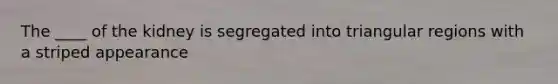 The ____ of the kidney is segregated into triangular regions with a striped appearance