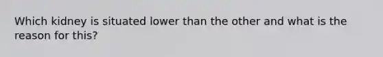 Which kidney is situated lower than the other and what is the reason for this?