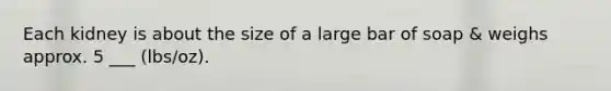 Each kidney is about the size of a large bar of soap & weighs approx. 5 ___ (lbs/oz).