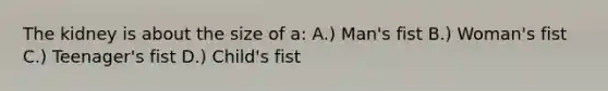 The kidney is about the size of a: A.) Man's fist B.) Woman's fist C.) Teenager's fist D.) Child's fist