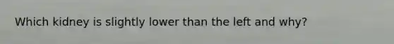 Which kidney is slightly lower than the left and why?