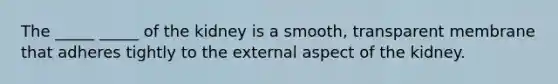 The _____ _____ of the kidney is a smooth, transparent membrane that adheres tightly to the external aspect of the kidney.