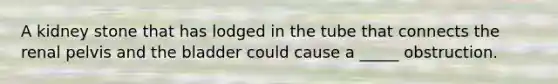 A kidney stone that has lodged in the tube that connects the renal pelvis and the bladder could cause a​ _____ obstruction.