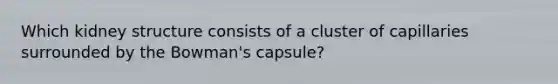 Which kidney structure consists of a cluster of capillaries surrounded by the Bowman's capsule?