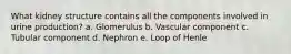 What kidney structure contains all the components involved in urine production? a. Glomerulus b. Vascular component c. Tubular component d. Nephron e. Loop of Henle