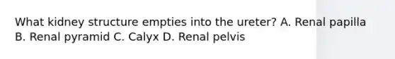 What kidney structure empties into the ureter? A. Renal papilla B. Renal pyramid C. Calyx D. Renal pelvis