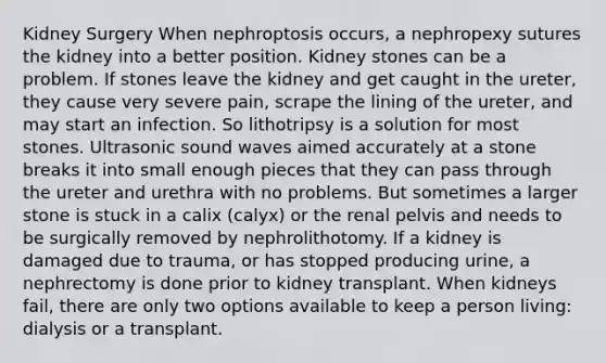 Kidney Surgery When nephroptosis occurs, a nephropexy sutures the kidney into a better position. Kidney stones can be a problem. If stones leave the kidney and get caught in the ureter, they cause very severe pain, scrape the lining of the ureter, and may start an infection. So lithotripsy is a solution for most stones. Ultrasonic sound waves aimed accurately at a stone breaks it into small enough pieces that they can pass through the ureter and urethra with no problems. But sometimes a larger stone is stuck in a calix (calyx) or the renal pelvis and needs to be surgically removed by nephrolithotomy. If a kidney is damaged due to trauma, or has stopped producing urine, a nephrectomy is done prior to kidney transplant. When kidneys fail, there are only two options available to keep a person living: dialysis or a transplant.