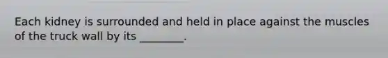 Each kidney is surrounded and held in place against the muscles of the truck wall by its ________.