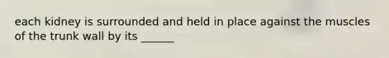 each kidney is surrounded and held in place against the muscles of the trunk wall by its ______
