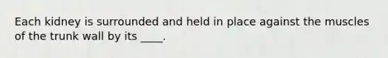 Each kidney is surrounded and held in place against the muscles of the trunk wall by its ____.