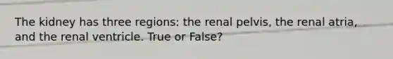 The kidney has three regions: the renal pelvis, the renal atria, and the renal ventricle. True or False?