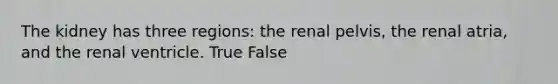 The kidney has three regions: the renal pelvis, the renal atria, and the renal ventricle. True False