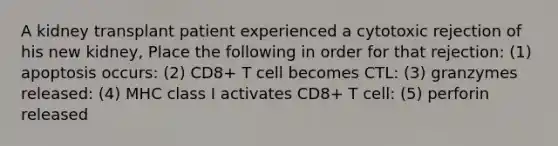 A kidney transplant patient experienced a cytotoxic rejection of his new kidney, Place the following in order for that rejection: (1) apoptosis occurs: (2) CD8+ T cell becomes CTL: (3) granzymes released: (4) MHC class I activates CD8+ T cell: (5) perforin released